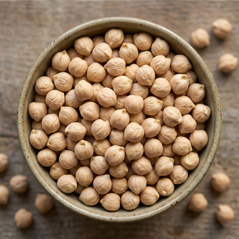 Top Exporters of Premium Kabuli and Desi Chana | SP Pulses